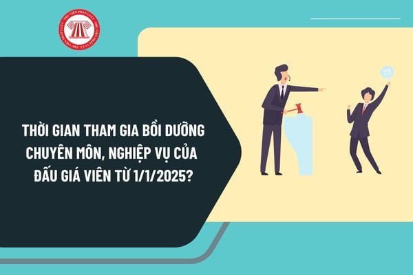 Thời gian tham gia bồi dưỡng chuyên môn, nghiệp vụ của đấu giá viên từ 1/1/2025 như thế nào?