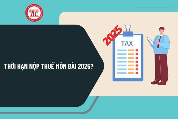 Thời hạn nộp thuế môn bài 2025 khi nào? Thời hạn nộp hồ sơ khai thuế môn bài được quy định như thế nào?