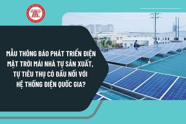 Mẫu thông báo phát triển điện mặt trời mái nhà tự sản xuất, tự tiêu thụ có đấu nối với hệ thống điện quốc gia mới nhất?