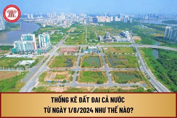 Thống kê đất đai cả nước từ ngày 1/8/2024 theo Thông tư 08/2024 được thực hiện như thế nào?