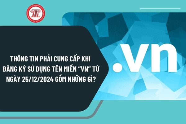 Những thông tin phải cung cấp khi đăng ký sử dụng tên miền vn từ ngày 25/12/2024 gồm những gì?