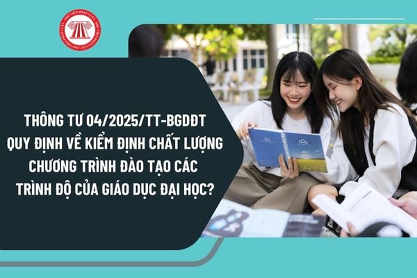 Thông tư 04/2025/TT-BGDĐT quy định về kiểm định chất lượng chương trình đào tạo các trình độ của giáo dục đại học ra sao?