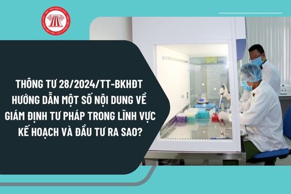 Thông tư 28/2024/TT-BKHĐT hướng dẫn một số nội dung về giám định tư pháp trong lĩnh vực kế hoạch và đầu tư ra sao?