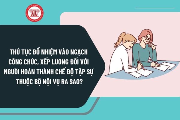 Thủ tục bổ nhiệm vào ngạch công chức, xếp lương đối với người hoàn thành chế độ tập sự thuộc Bộ Nội vụ ra sao?