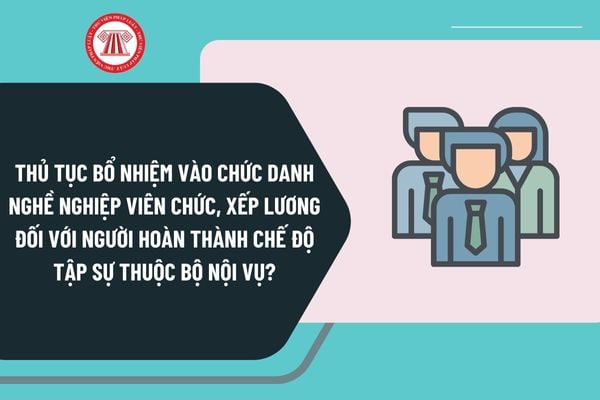 Thủ tục bổ nhiệm vào chức danh nghề nghiệp viên chức, xếp lương đối với người hoàn thành chế độ tập sự thuộc Bộ Nội vụ?