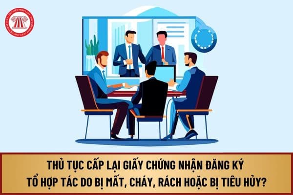 Thủ tục cấp lại Giấy chứng nhận đăng ký tổ hợp tác do bị mất, cháy, rách, nát hoặc bị tiêu hủy từ 13/8/2024 như thế nào?