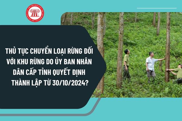 Thủ tục chuyển loại rừng đối với khu rừng do Ủy ban nhân dân cấp tỉnh quyết định thành lập từ 30/10/2024 ra sao?