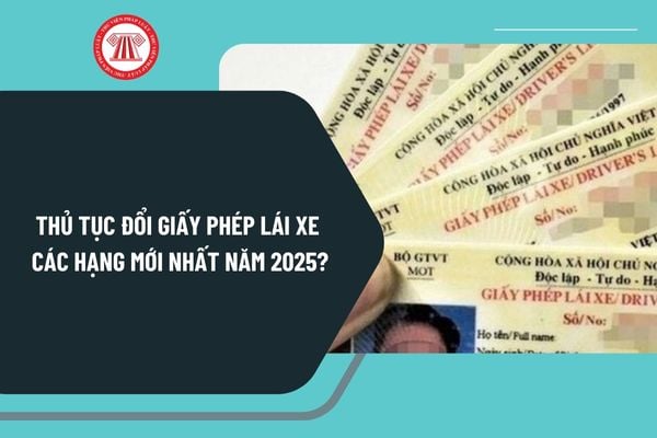 Thủ tục đổi giấy phép lái xe các hạng mới nhất năm 2025? Yêu cầu đối với việc đổi giấy phép lái xe như thế nào?