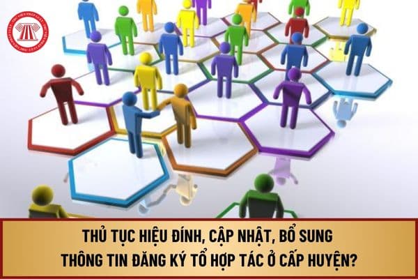 Trình tự, cách thức thực hiện thủ tục hiệu đính, cập nhật, bổ sung thông tin đăng ký tổ hợp tác ở cấp huyện từ 13/8/2024 ra sao?