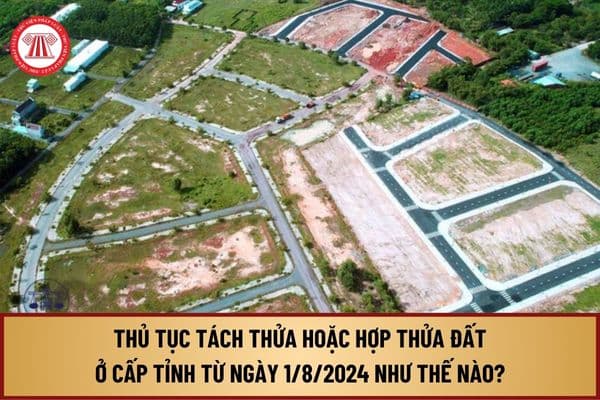 Trình tự, cách thức thực hiện thủ tục Tách thửa hoặc hợp thửa đất ở cấp tỉnh từ 1/8/2024 như thế nào?