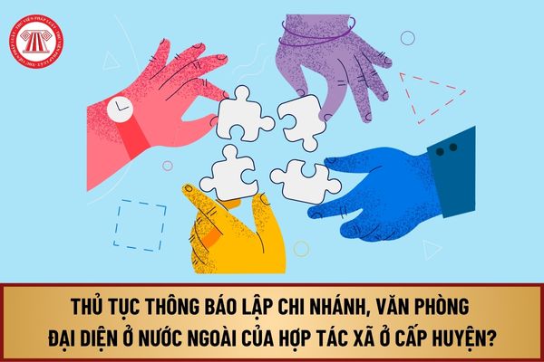 Thủ tục thông báo lập chi nhánh, văn phòng đại diện ở nước ngoài của hợp tác xã ở cấp huyện mới nhất 2024 như thế nào?