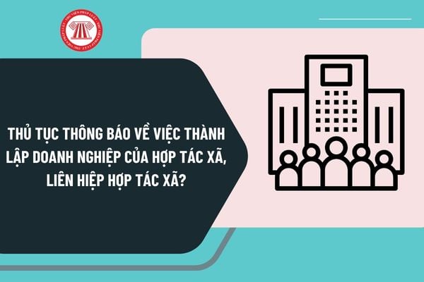 Thủ tục thông báo về việc thành lập doanh nghiệp của hợp tác xã, liên hiệp hợp tác xã ở cấp huyện như thế nào?