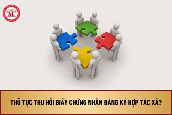 Thủ tục thu hồi Giấy chứng nhận đăng ký hợp tác xã trường hợp nội dung kê khai trong hồ sơ đăng ký thành lập là giả mạo ở cấp huyện?