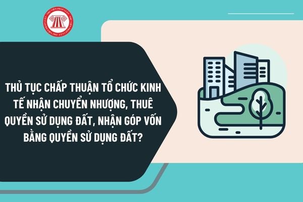 Thủ tục chấp thuận tổ chức kinh tế nhận chuyển nhượng, thuê quyền sử dụng đất, nhận góp vốn bằng quyền sử dụng đất để thực hiện dự án?