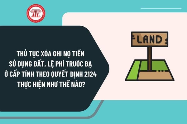 Trình tự, thủ tục xóa ghi nợ tiền sử dụng đất, lệ phí trước bạ ở cấp tỉnh theo Quyết định 2124 thực hiện như thế nào?