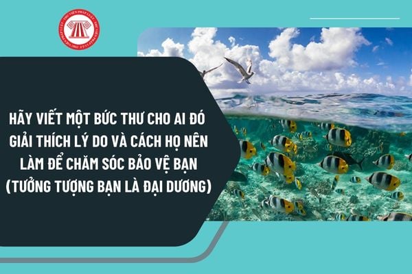 Hãy viết một bức thư cho ai đó giải thích lý do và cách họ nên làm để chăm sóc bảo vệ bạn thật tốt (Tưởng tượng bạn là đại dương)?