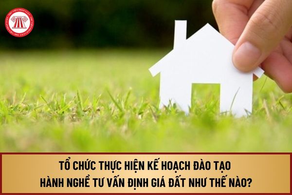 Từ ngày 1/8/2024, tổ chức thực hiện Kế hoạch đào tạo cho cá nhân hành nghề tư vấn định giá đất như thế nào?