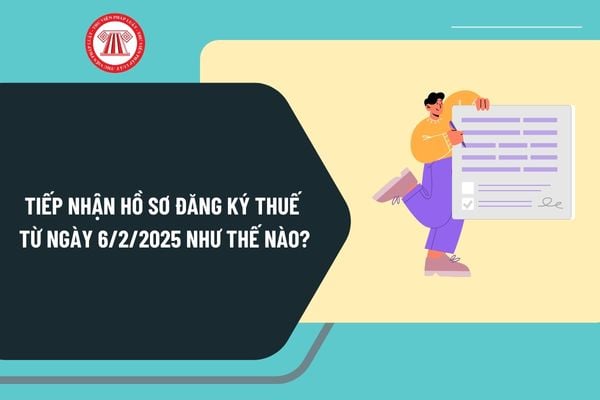 Tiếp nhận hồ sơ đăng ký thuế từ ngày 6/2/2025 như thế nào? Quy định về đối tượng đăng ký thuế 2025 ra sao?