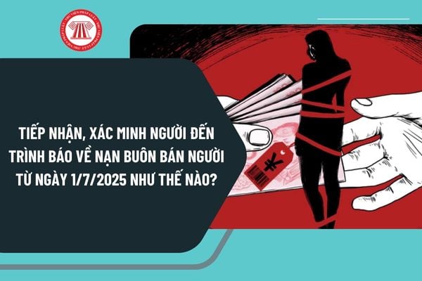 Tiếp nhận, xác minh người đến trình báo về nạn buôn bán người từ ngày 1/7/2025 như thế nào?