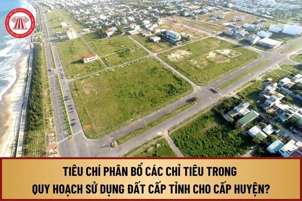 Tiêu chí phân bổ các chỉ tiêu trong quy hoạch sử dụng đất cấp tỉnh cho quy hoạch sử dụng đất cấp huyện từ 1/8/2024 ra sao?