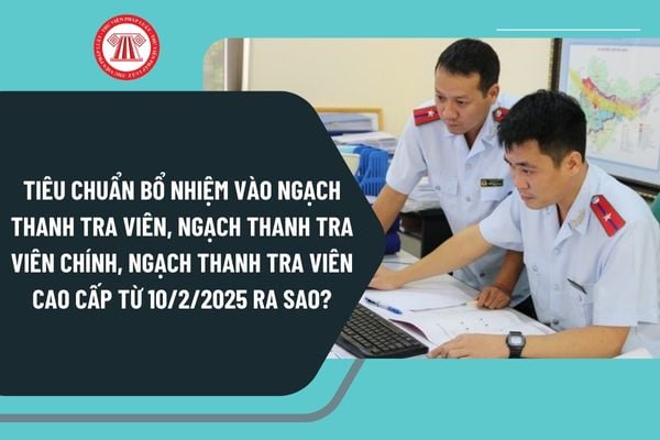 Tiêu chuẩn bổ nhiệm vào ngạch thanh tra viên, ngạch thanh tra viên chính, ngạch thanh tra viên cao cấp từ 10/2/2025 ra sao?