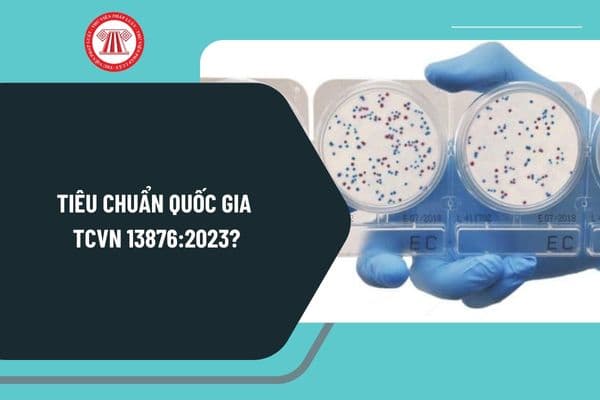 Tiêu chuẩn quốc gia TCVN 13876:2023 về nguyên tắc sử dụng đĩa Compact Dry YMR để định lượng nấm men và nấm mốc trong thực phẩm?