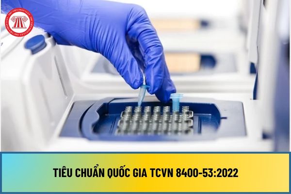 Tiêu chuẩn quốc gia TCVN 8400-53:2022 về xác định vi khuẩn ORT bằng phương pháp reatime PCR như thế nào?
