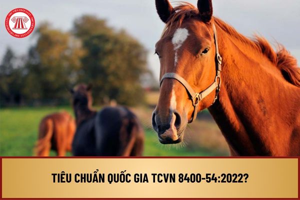 Tiêu chuẩn quốc gia TCVN 8400-54:2022 về triệu chứng lâm sàng của bệnh tỵ thư ở gia súc như thế nào?