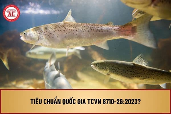 Tiêu chuẩn quốc gia TCVN 8710-26:2023 về chẩn đoán lâm sàng bệnh hoại tử cơ quan tạo máu do EHNV ở cá thế nào?