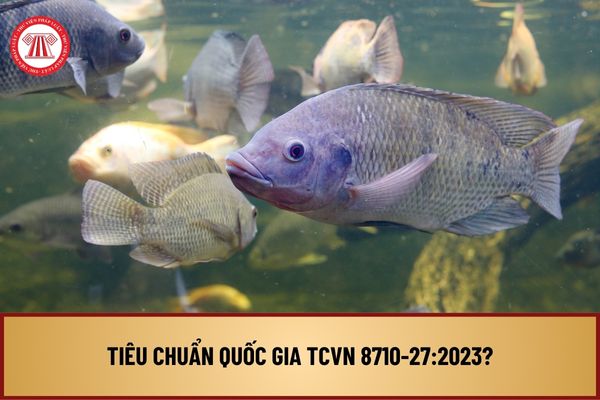 Tiêu chuẩn quốc gia TCVN 8710-27:2023 về đặc điểm dịch tễ bệnh do vi rút Tilapia lake TiLV ở cá rô phi ra sao?