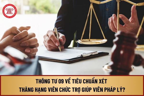 Đã có Thông tư 09 của Bộ Tư pháp về tiêu chuẩn xét thăng hạng viên chức trợ giúp viên pháp lý như thế nào?