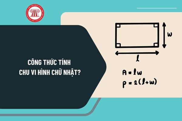 Công thức tính Chu vi hình chữ nhật? Ví dụ về tính chu vi hình chữ nhật? Các bước tính chu vi hình chữ nhật ra sao?