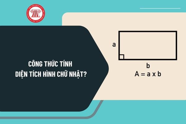 Công thức tính Diện tích hình chữ nhật? Ví dụ tính diện tích hình chữ nhật? Áp dụng công thức tính diện tích hình chữ nhật?