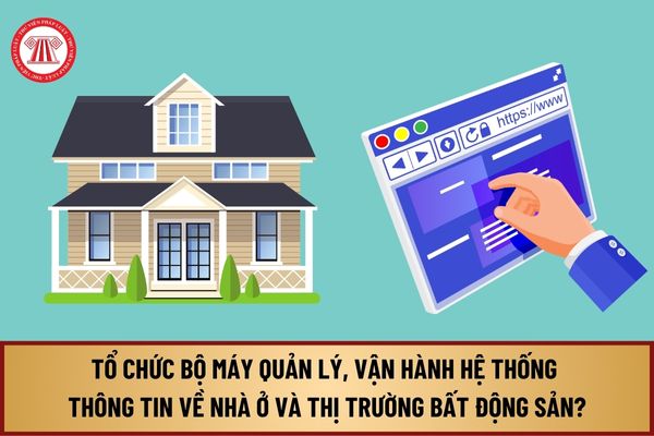 Tổ chức bộ máy quản lý, vận hành hệ thống thông tin về nhà ở và thị trường bất động sản từ 1/8/2024 được quy định ra sao?