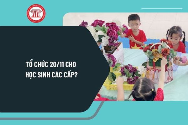 Tổ chức 20 11 cho học sinh các cấp? Một số hoạt động chào mừng ngày Nhà giáo Việt Nam 20 tháng 11 cho học sinh?