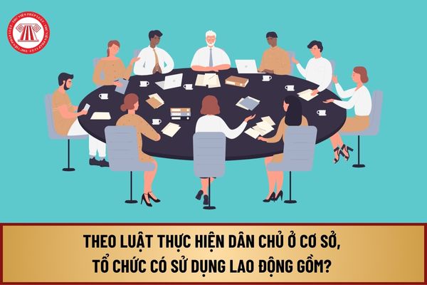 Theo Luật Thực hiện dân chủ ở cơ sở, tổ chức có sử dụng lao động gồm? Nội dung người lao động kiểm tra giám sát ra sao?