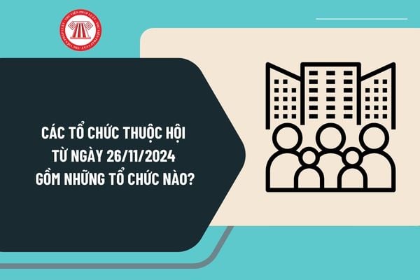 Các tổ chức thuộc hội từ ngày 26/11/2024 gồm những tổ chức nào? Quyền của hội như thế nào?