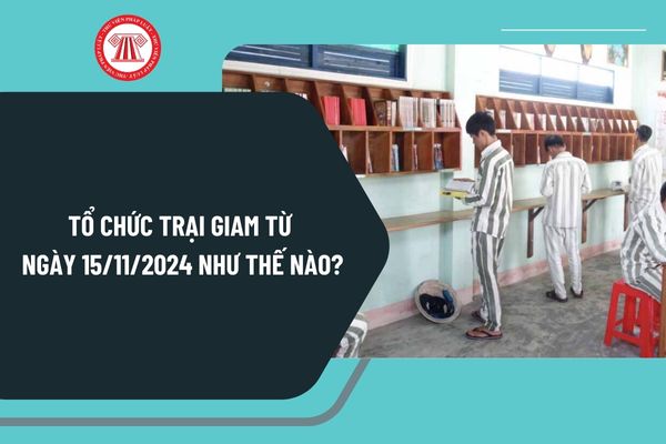 Tổ chức trại giam từ ngày 15/11/2024 như thế nào? Tổ chức bộ máy quản lý của trại giam ra sao?