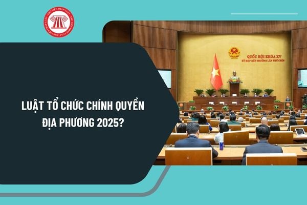 Luật Tổ chức chính quyền địa phương 2025? Toàn văn Luật Tổ chức chính quyền địa phương 2025 PDF tải về ở đâu?