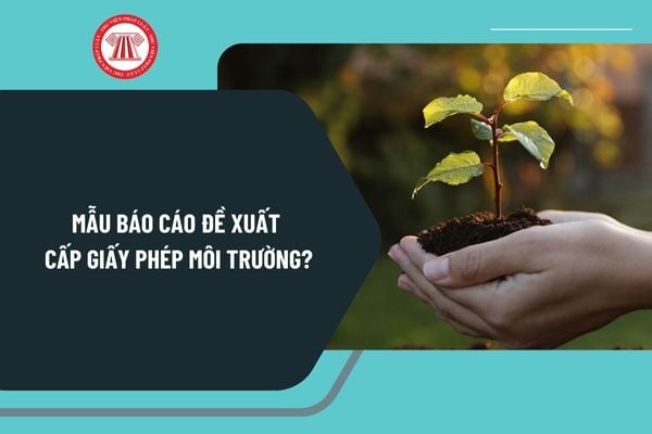 Mẫu báo cáo đề xuất cấp giấy phép môi trường mới nhất? Tải mẫu báo cáo đề xuất cấp giấy phép môi trường ở đâu?