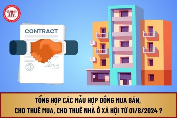 Tổng hợp các mẫu hợp đồng mua bán, cho thuê mua, cho thuê nhà ở xã hội từ 01/8/2024 như thế nào?