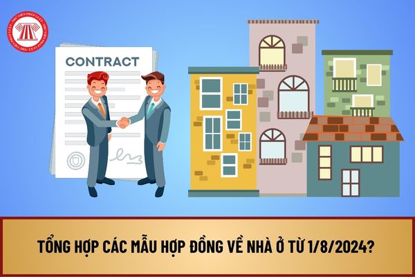 Tổng hợp các mẫu hợp đồng về nhà ở từ 1/8/2024? Quy định các mẫu hợp đồng về nhà ở như thế thế nào?