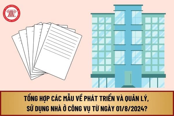 Tổng hợp các mẫu về phát triển và quản lý, sử dụng nhà ở công vụ từ ngày 01/8/2024 tại Nghị định 95/2024/NĐ-CP?