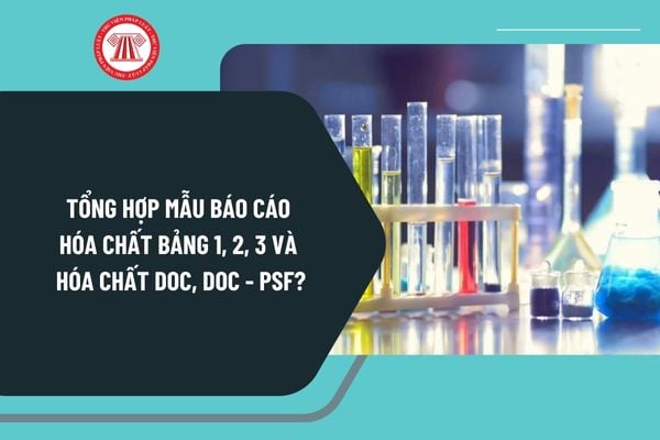 Tổng hợp mẫu báo cáo hóa chất bảng 1, 2, 3 và hóa chất DOC, DOC - PSF mới nhất? Tải mẫu báo cáo hóa chất bảng 1, 2, 3 và hóa chất DOC, DOC - PSF?