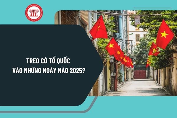 Treo cờ Tổ quốc vào những ngày nào 2025? Hướng dẫn treo cờ Tổ quốc chuẩn theo quy định mới nhất?