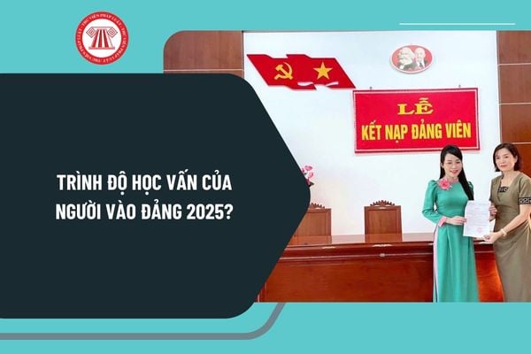 Trình độ học vấn của người vào Đảng 2025? Kết nạp Đảng cho người trên 60 tuổi do cơ quan nào xem xét, quyết định?