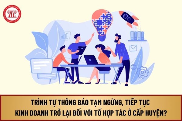 Trình tự thực hiện thông báo tạm ngừng kinh doanh, tiếp tục kinh doanh trở lại đối với tổ hợp tác ở cấp huyện mới nhất 2024 ra sao?