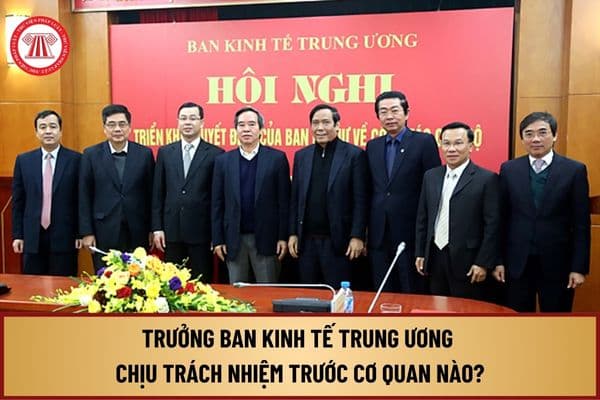 Trưởng ban kinh tế trung ương chịu trách nhiệm trước cơ quan nào? Cơ cấu tổ chức của Ban Kinh tế Trung ương ra sao?