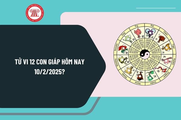 Tử vi ngày 10 tháng 2 2025? Tử vi 12 con giáp hôm nay 10 2 2025? Tử vi ngày 10 2 2025 của 12 con giáp có tốt không?