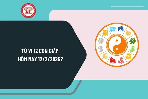 Tử vi 12 con giáp hôm nay 12 2 2025? Tử vi ngày 12 2 2025 của 12 con giáp có tốt không? Tử vi ngày 12 tháng 2 năm 2025 giờ tốt nhất?